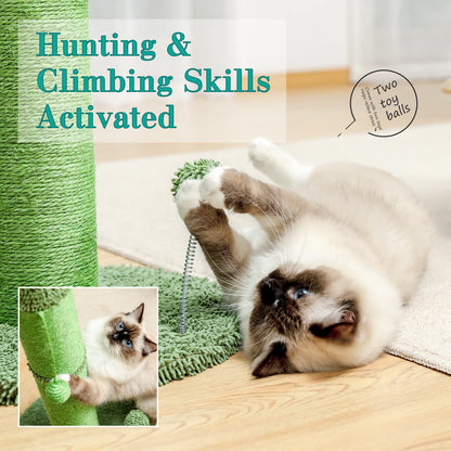 Best Cat Tree Tower Furniture with Hammock Small Cactus Mushroom