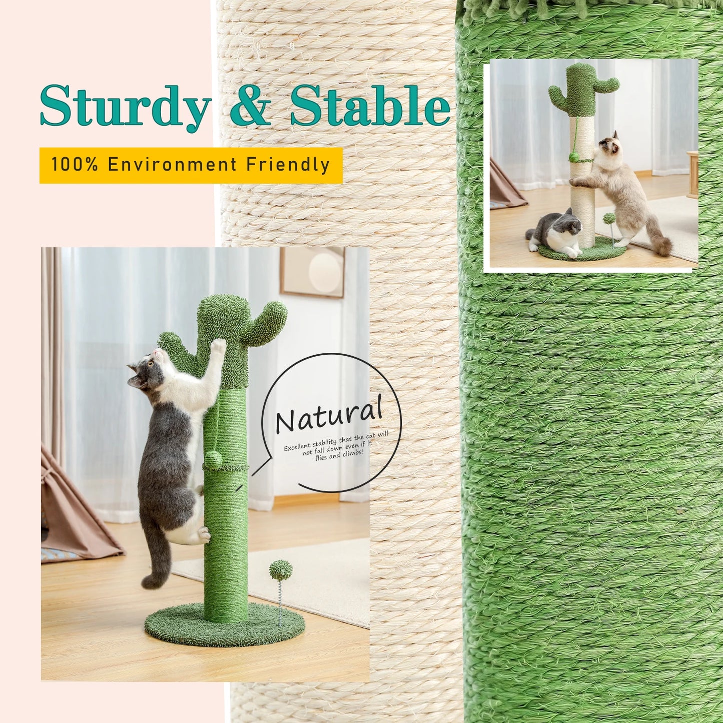 Best Cat Tree Tower Furniture with Hammock Small Cactus Mushroom