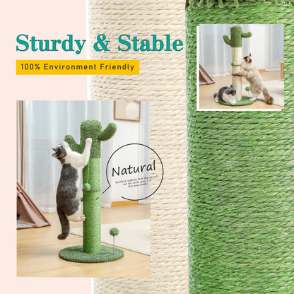 Best Cat Tree Tower Furniture with Hammock Small Cactus Mushroom