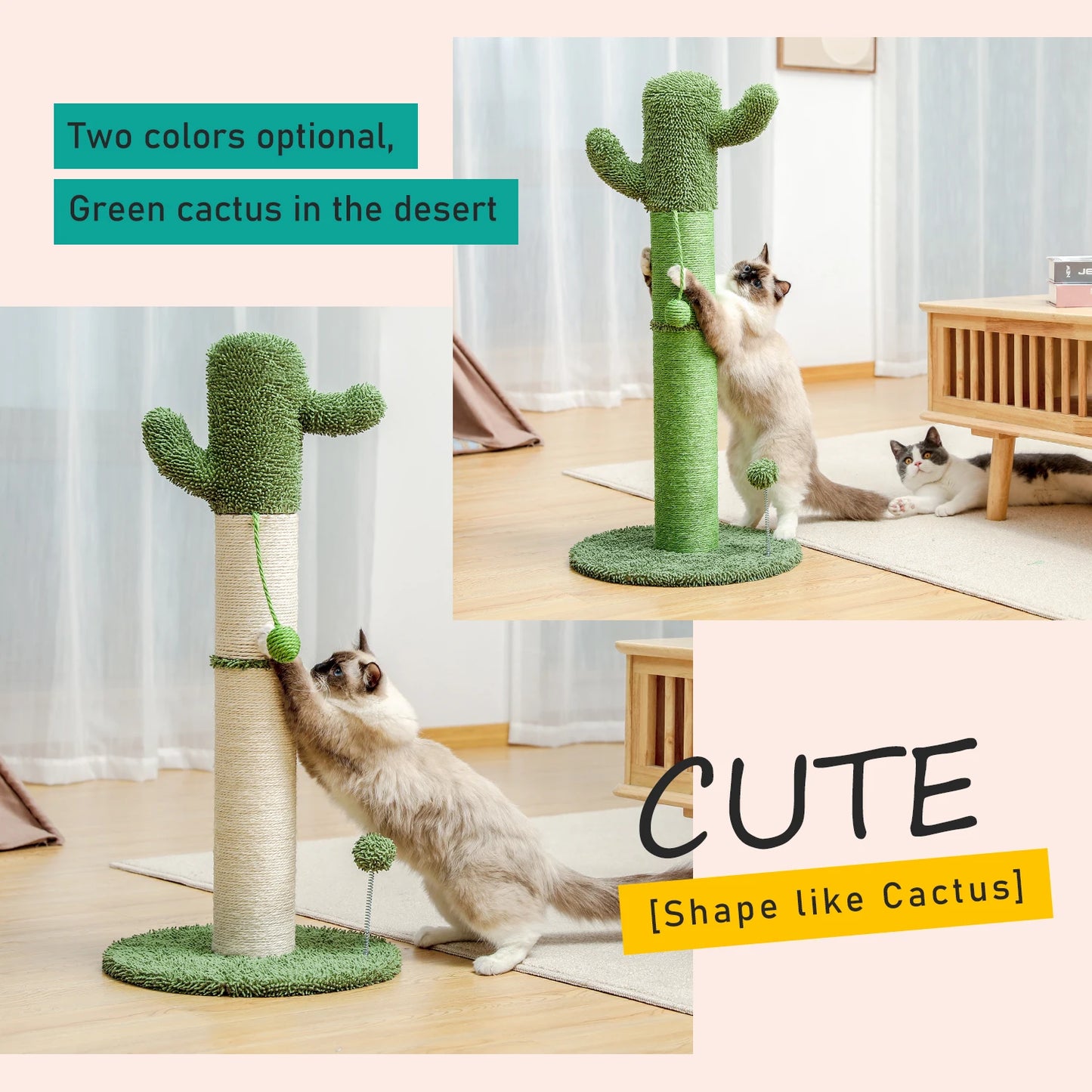 Best Cat Tree Tower Furniture with Hammock Small Cactus Mushroom