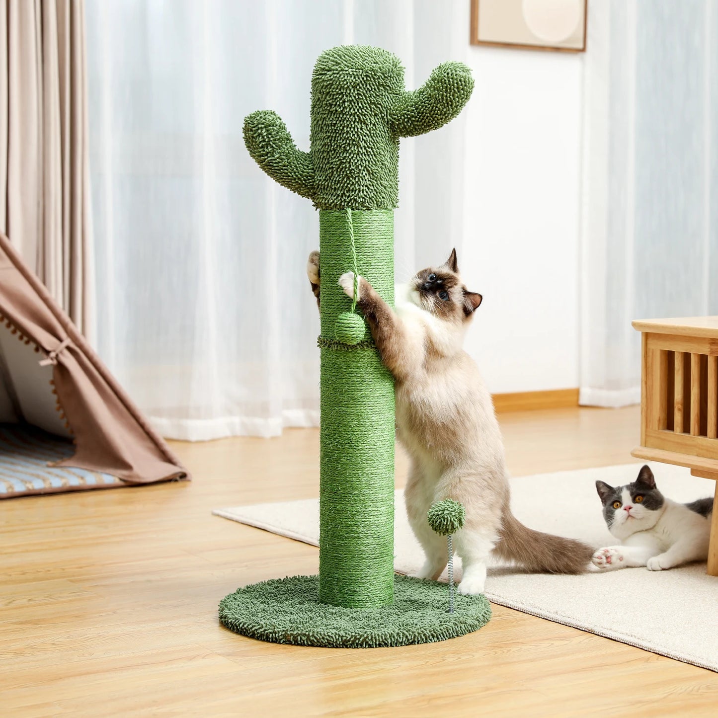 Best Cat Tree Tower Furniture with Hammock Small Cactus Mushroom