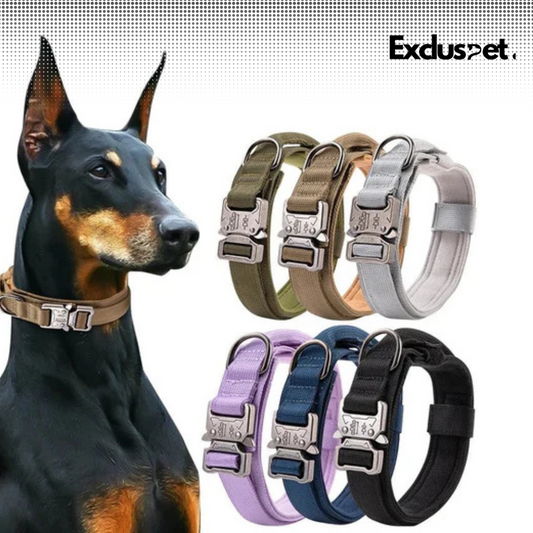 Durable Military Tactical Dog Collar