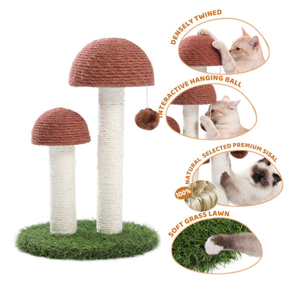 Best Cat Tree Tower Furniture with Hammock Small Cactus Mushroom