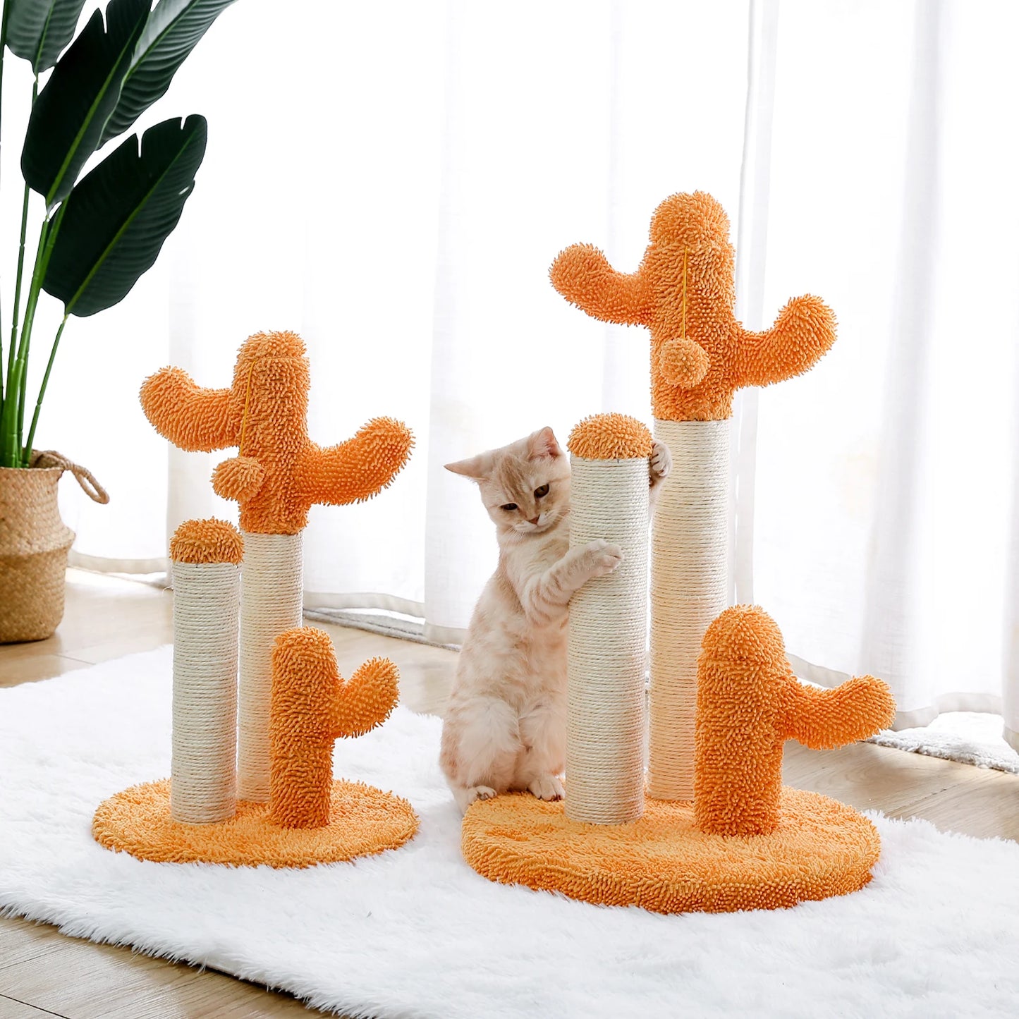 Best Cat Tree Tower Furniture with Hammock Small Cactus Mushroom