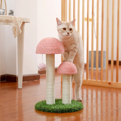 Best Cat Tree Tower Furniture with Hammock Small Cactus Mushroom