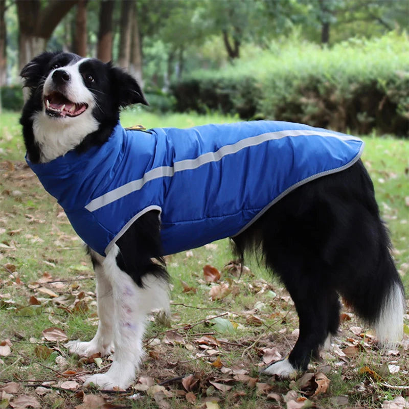 Waterproof Dog Winter Jacket - Reflective & Warm