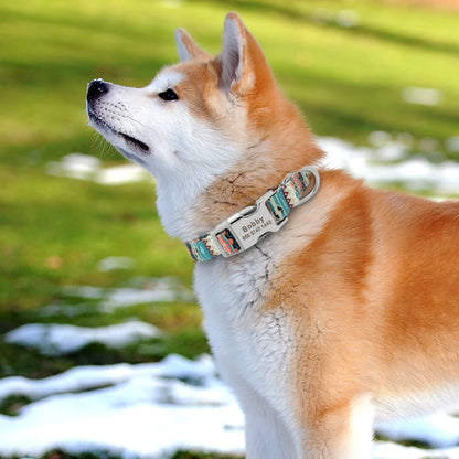 Personalized Nylon Dog Collar with Engraved ID