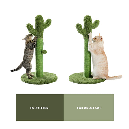 Best Cat Tree Tower Furniture with Hammock Small Cactus Mushroom