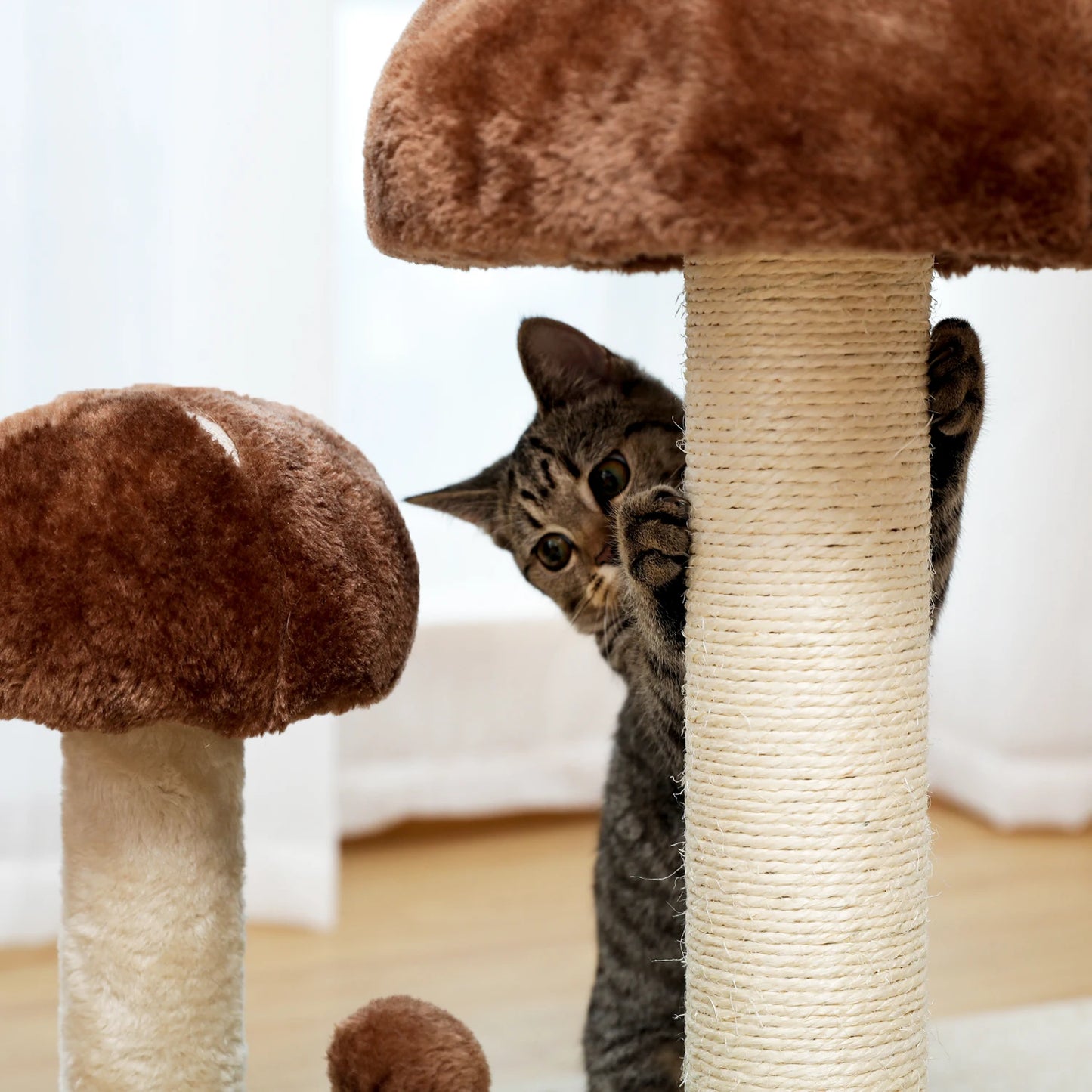 Best Cat Tree Tower Furniture with Hammock Small Cactus Mushroom