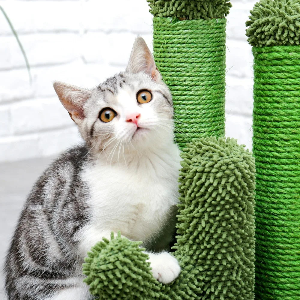 Best Cat Tree Tower Furniture with Hammock Small Cactus Mushroom