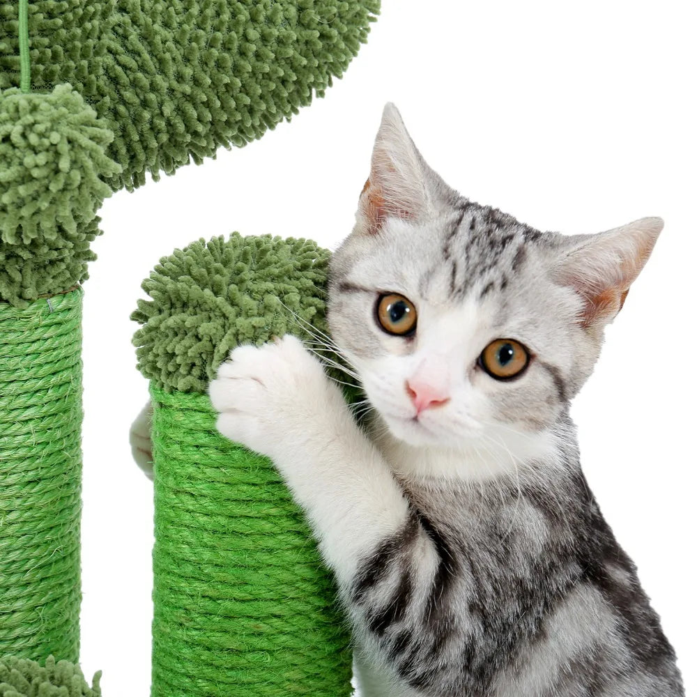 Best Cat Tree Tower Furniture with Hammock Small Cactus Mushroom