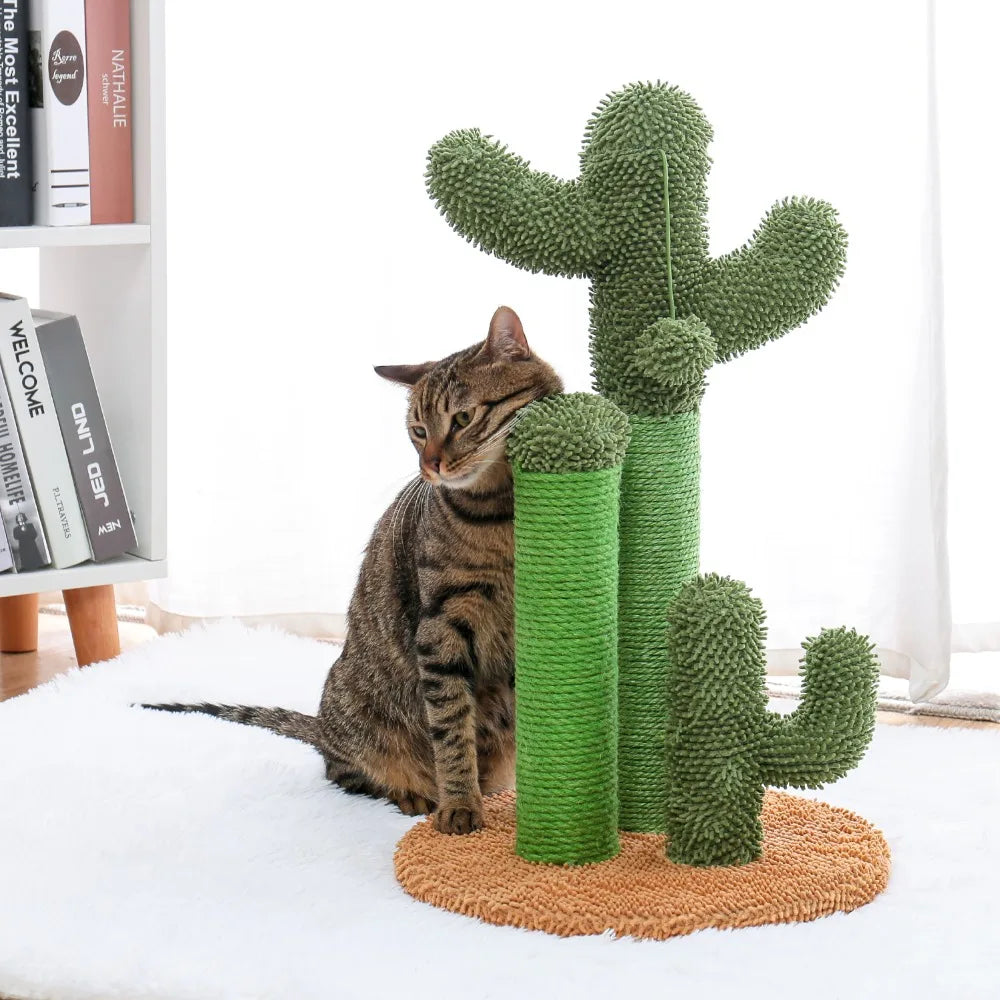 Best Cat Tree Tower Furniture with Hammock Small Cactus Mushroom