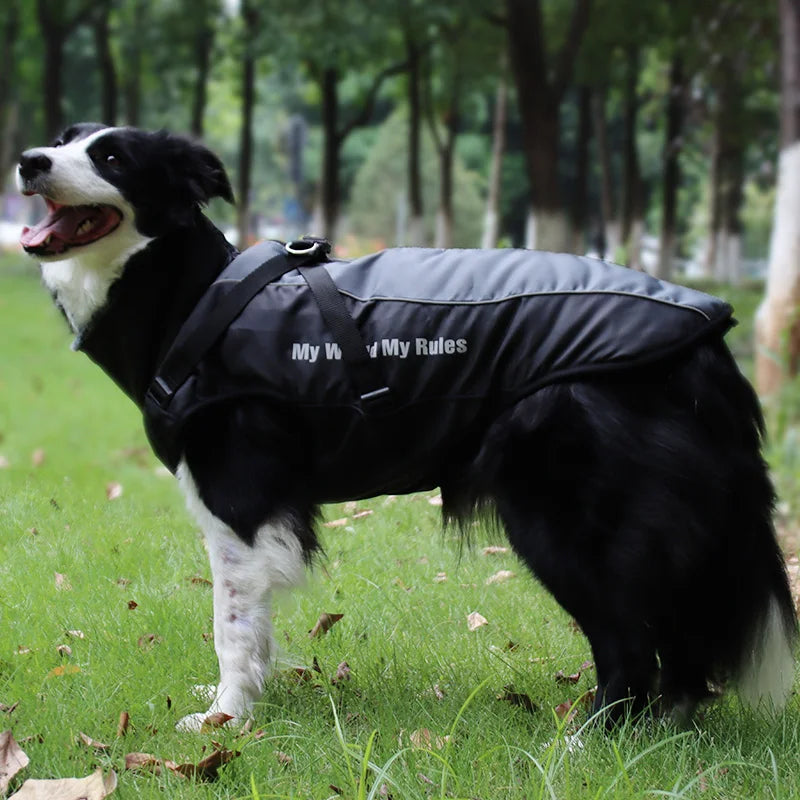 Waterproof Large Dog Coat with Integrated Harness