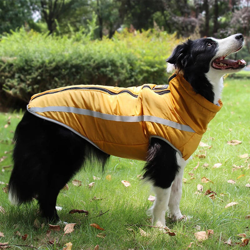 Waterproof Dog Winter Jacket - Reflective & Warm