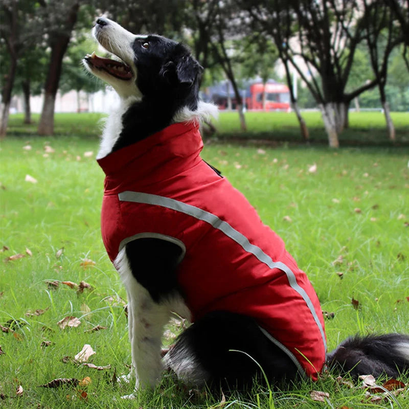 Waterproof Dog Winter Jacket - Reflective & Warm