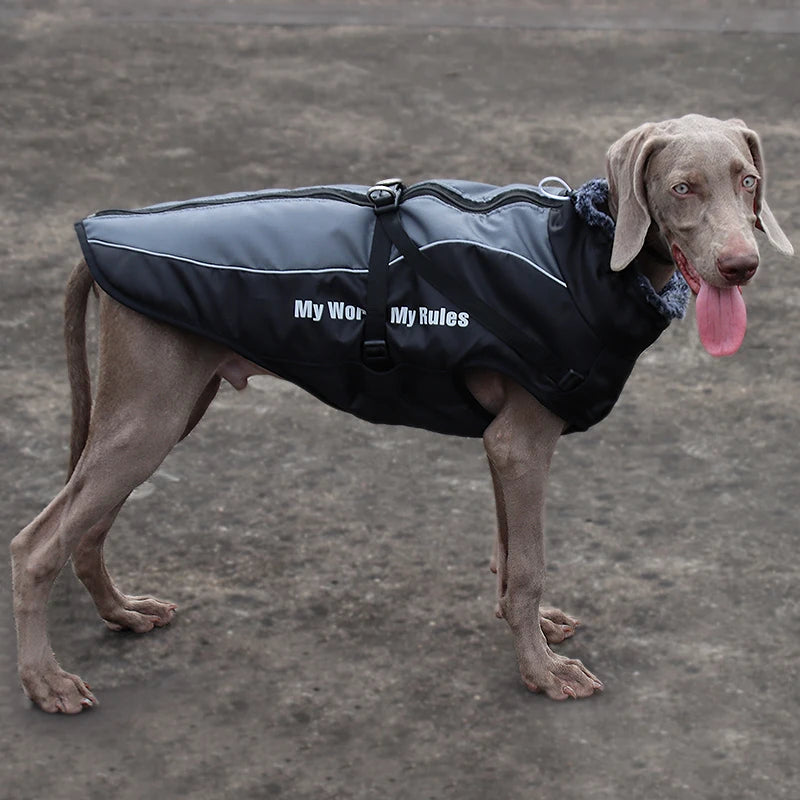 Waterproof Large Dog Coat with Integrated Harness