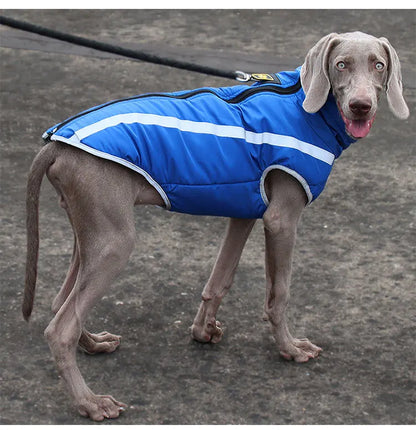 Waterproof Dog Winter Jacket - Reflective & Warm