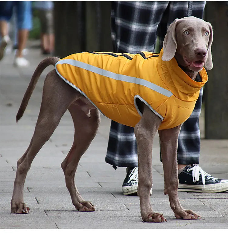 Waterproof Dog Winter Jacket - Reflective & Warm