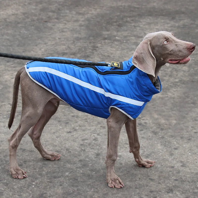 Waterproof Dog Winter Jacket - Reflective & Warm