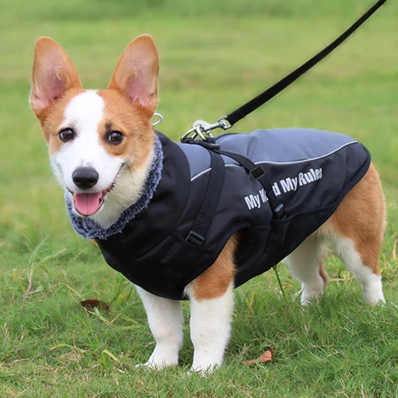 Waterproof Large Dog Coat with Integrated Harness