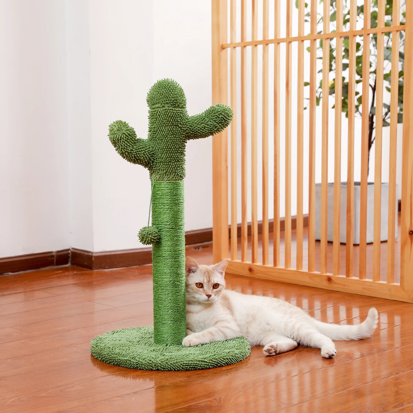 Best Cat Tree Tower Furniture with Hammock Small Cactus Mushroom