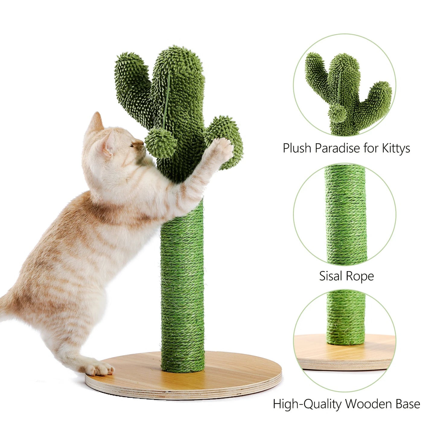 Best Cat Tree Tower Furniture with Hammock Small Cactus Mushroom