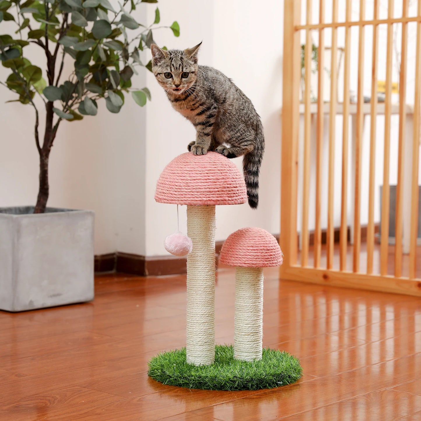 Best Cat Tree Tower Furniture with Hammock Small Cactus Mushroom