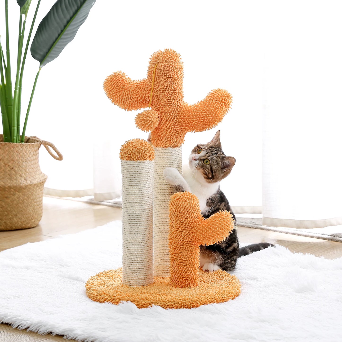 Best Cat Tree Tower Furniture with Hammock Small Cactus Mushroom