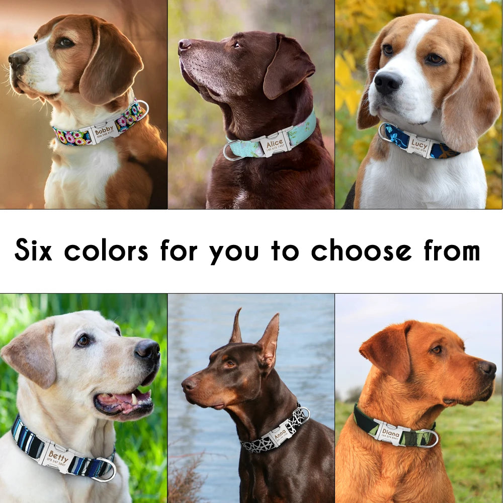 Personalized Nylon Dog Collar with Engraved ID