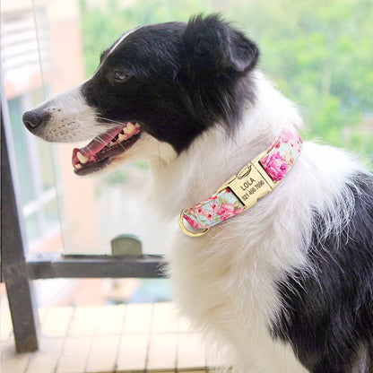 Personalized Nylon Dog Collar with Engraved ID