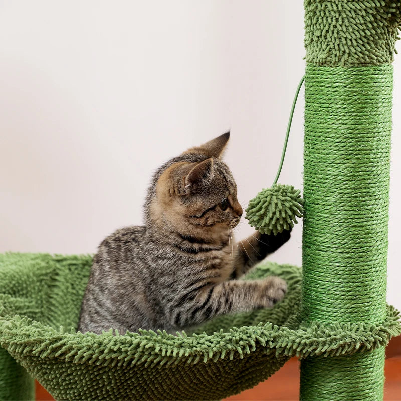 Best Cat Tree Tower Furniture with Hammock Small Cactus Mushroom