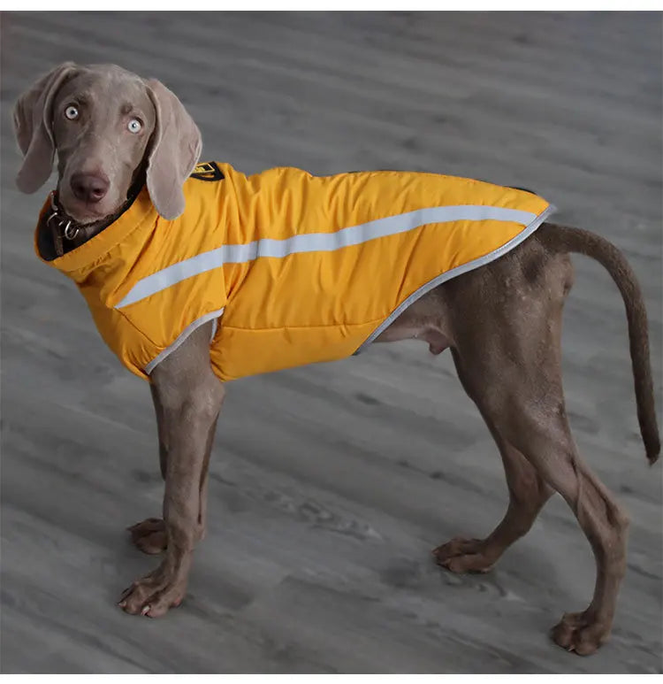 Waterproof Dog Winter Jacket - Reflective & Warm