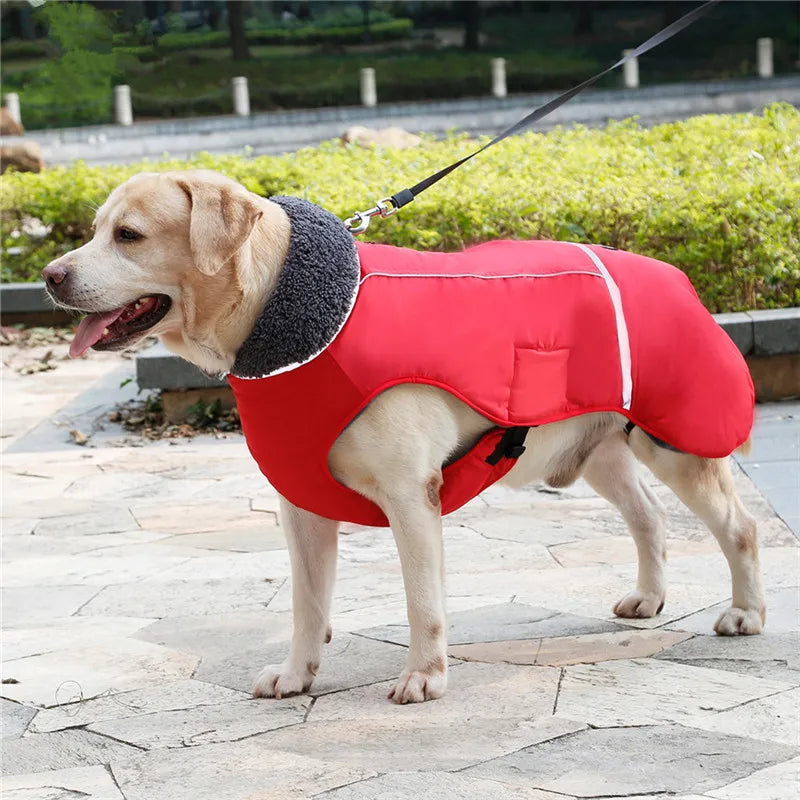 Waterproof Nylon Dog Jacket – Warm and Adjustable Winter Coat