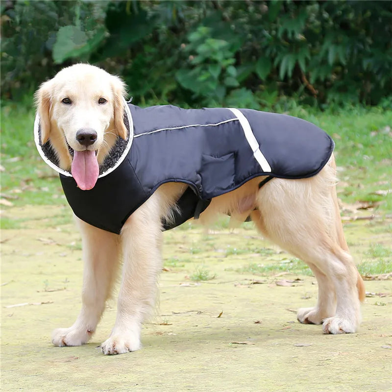 Waterproof Nylon Dog Jacket – Warm and Adjustable Winter Coat