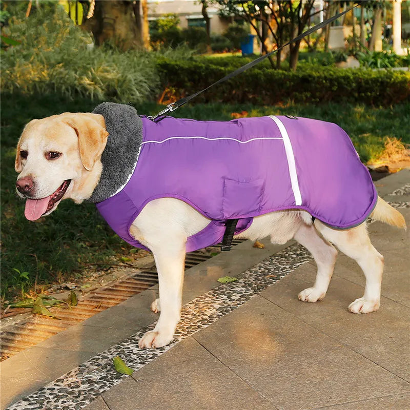 Waterproof Nylon Dog Jacket – Warm and Adjustable Winter Coat