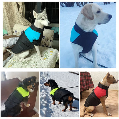 Warm Winter Pet Dog Coat – Waterproof Vest for Small, Medium, and Large Dogs