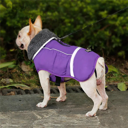 Waterproof Nylon Dog Jacket – Warm and Adjustable Winter Coat