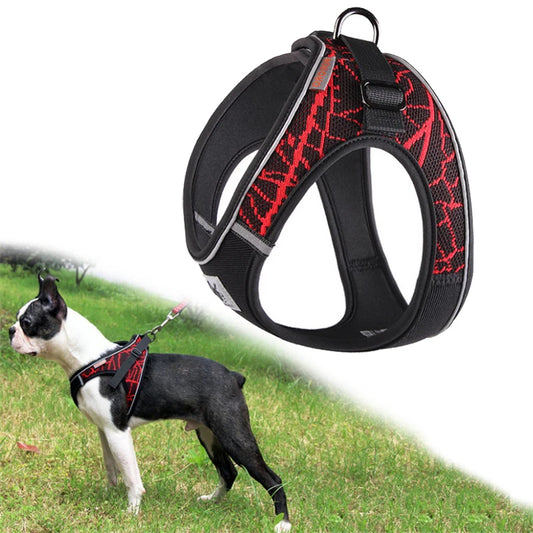 Reflective Sport Dog Vest Harness – Adjustable and Comfortable