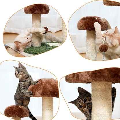 Best Cat Tree Tower Furniture with Hammock Small Cactus Mushroom