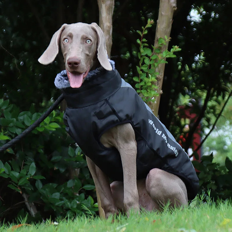 Waterproof Large Dog Coat with Integrated Harness