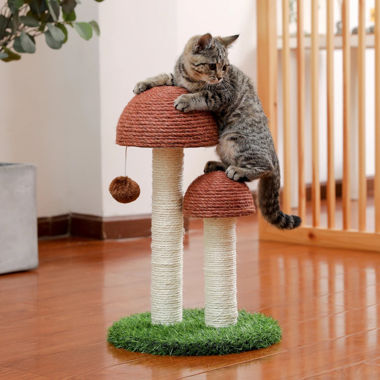 Best Cat Tree Tower Furniture with Hammock Small Cactus Mushroom