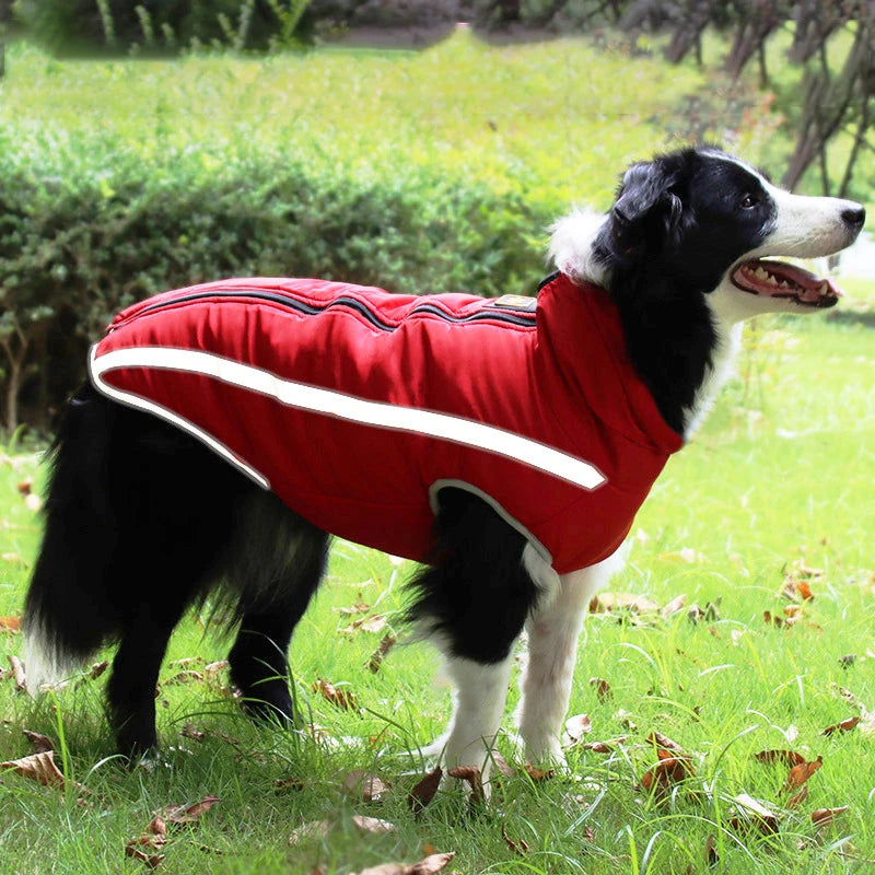 Waterproof Dog Winter Jacket - Reflective & Warm