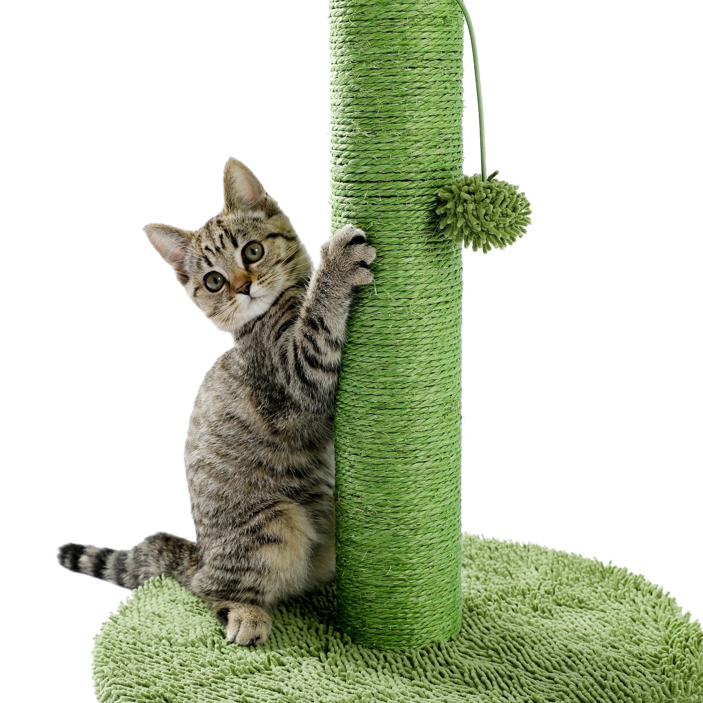 Best Cat Tree Tower Furniture with Hammock Small Cactus Mushroom