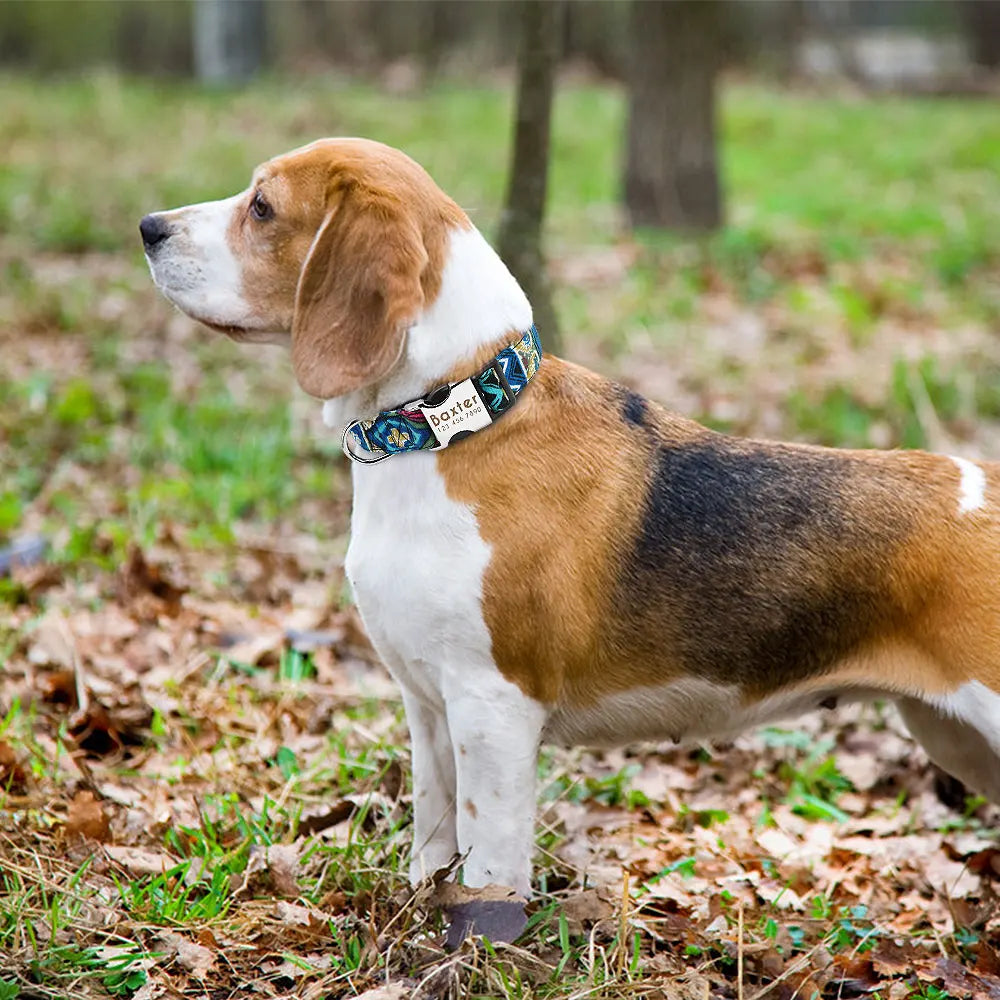 Personalized Nylon Dog Collar with Engraved ID