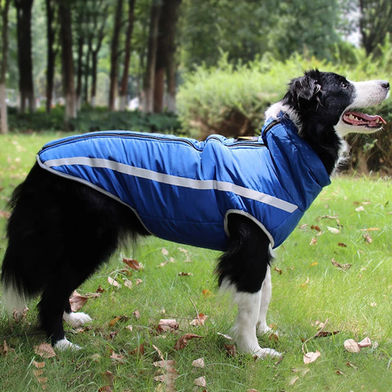 Waterproof Dog Winter Jacket - Reflective & Warm