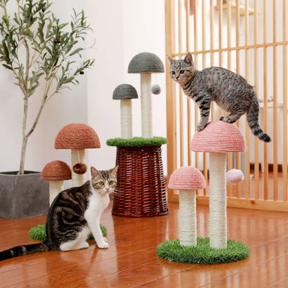 Best Cat Tree Tower Furniture with Hammock Small Cactus Mushroom