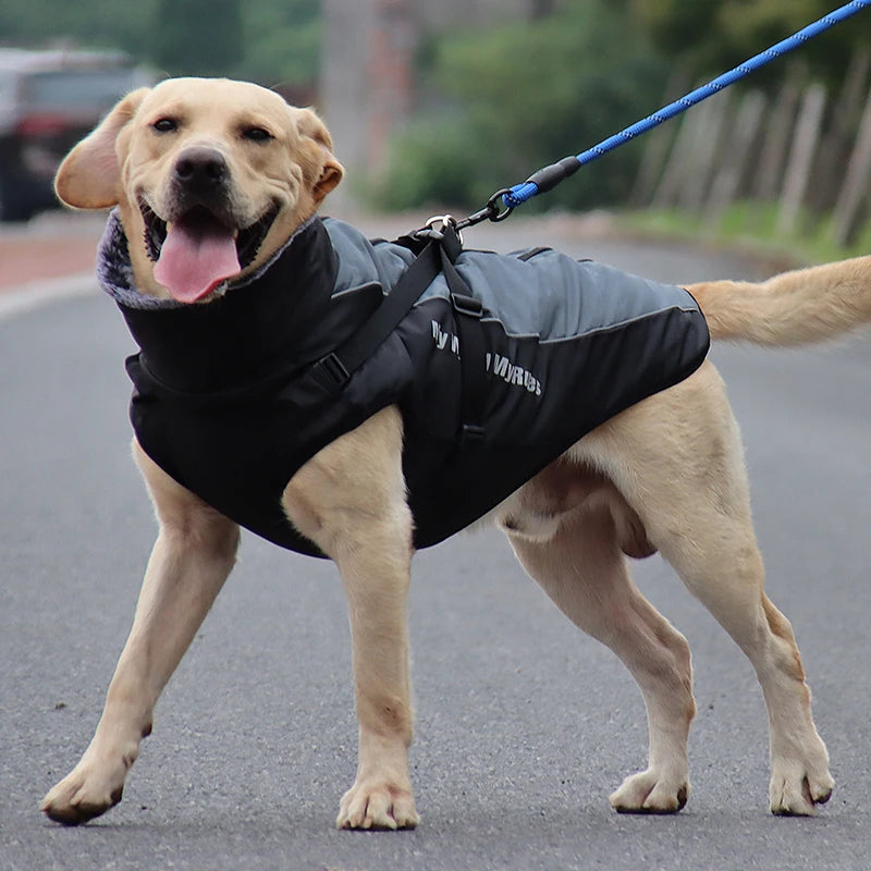 Waterproof Large Dog Coat with Integrated Harness