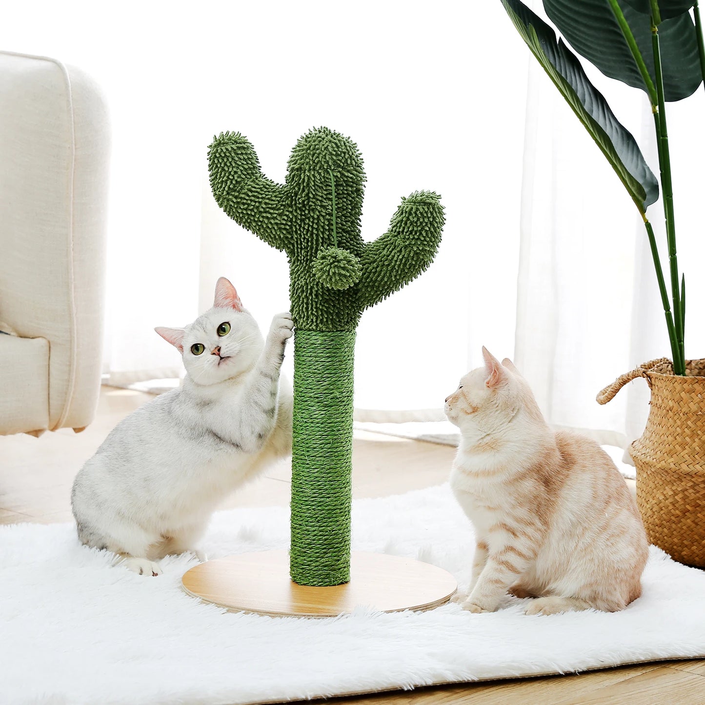 Best Cat Tree Tower Furniture with Hammock Small Cactus Mushroom