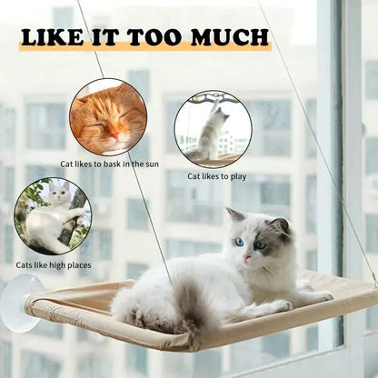 Suction Cup Hanging Cat Hammock