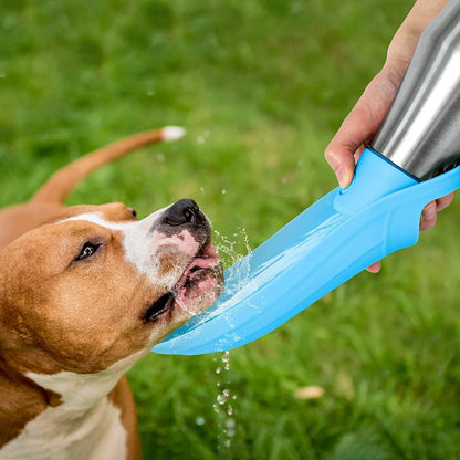 Stainless Steel Dog Water Bottle - Portable Outdoor Water Bowl